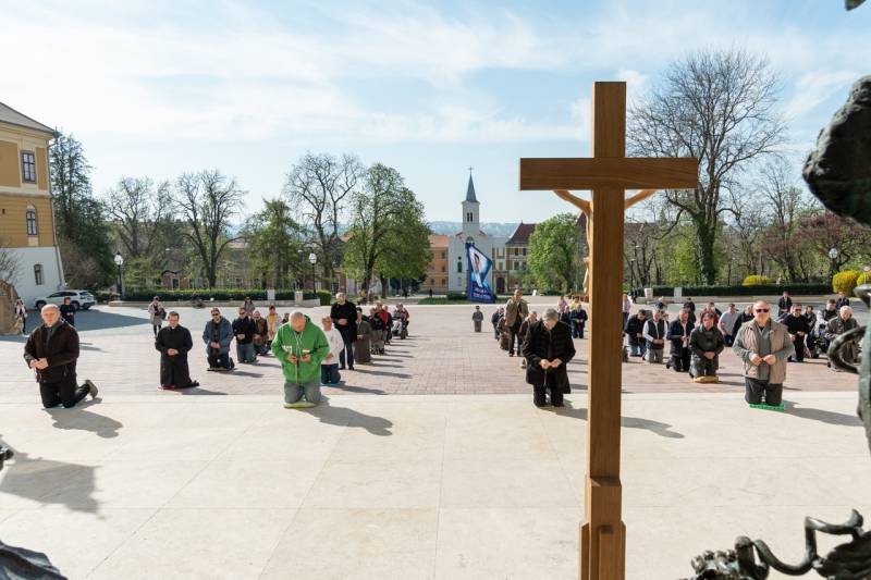 2025_04_05_terden allo rozsafuzer_09.jpg